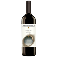 Ghisolfi Barolo Bussia Bricco Visette 2017