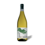 Cantina Tollo Trebbiano d'Abruzzo DOP 2024 Magnum