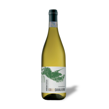 Cantina Tollo Trebbiano d'Abruzzo DOP 2024