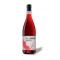 Cantina Tollo Cerasuolo d’Abruzzo Dop 2024