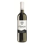 Il Roncal Sauvignon 2022 DOC Friuli Colli Orientali