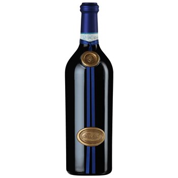 Salvano Vini Langhe Rosso Trabuch DOC 2021