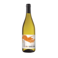 Cantina Tollo Pecorino Terre  d’Abruzzo IGP 2025