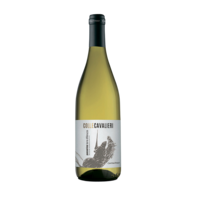 Cantina Tollo Passerina Terre  d’Abruzzo IGP 2025