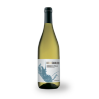 Cantina Tollo Chardonnay Terre  d’Abruzzo IGP 2025