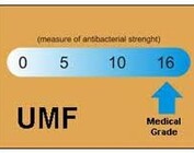 MANUKAHONIG WIRKUNG & ANWENDUNG