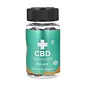 CBD Gummies Relax / 30 CBDGummies met 10mg CBD / DNH CBDGummies