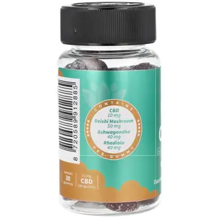 CBD Gummies Relax / 30 CBDGummies with 10mg CBD / DNH CBDGummies