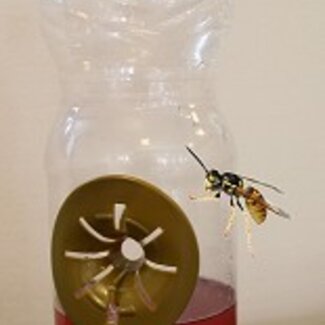 Set van 3 Wespenvangers