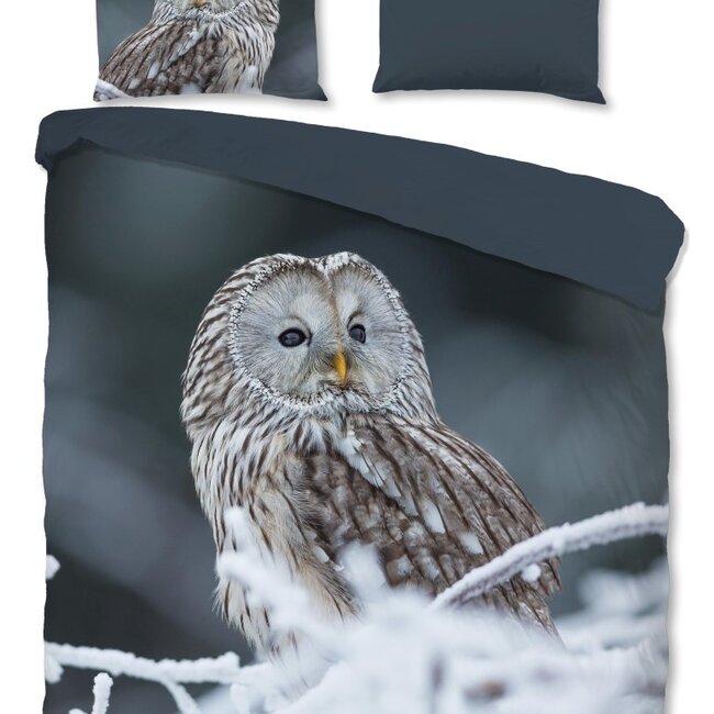 Katoen dekbedovertrek Uil