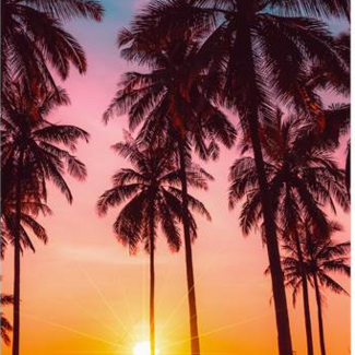 Good Morning Strandlaken Bora Bora - 100x180 cm