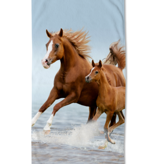 Good Morning Strandlaken Merrie met veulen - 75x150 cm