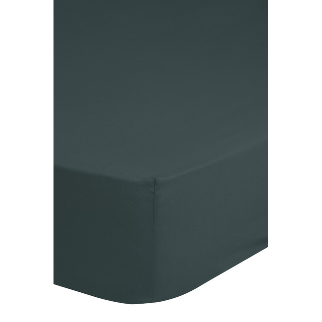 Hoeslaken - katoen - 90x220 cm