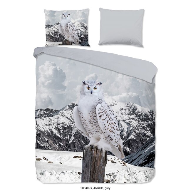 Katoen dekbedovertrek Sneeuwuil