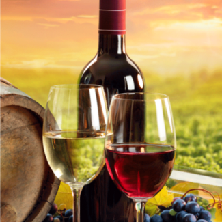 Sweet Home Strandlaken Wijn - 70x140 cm