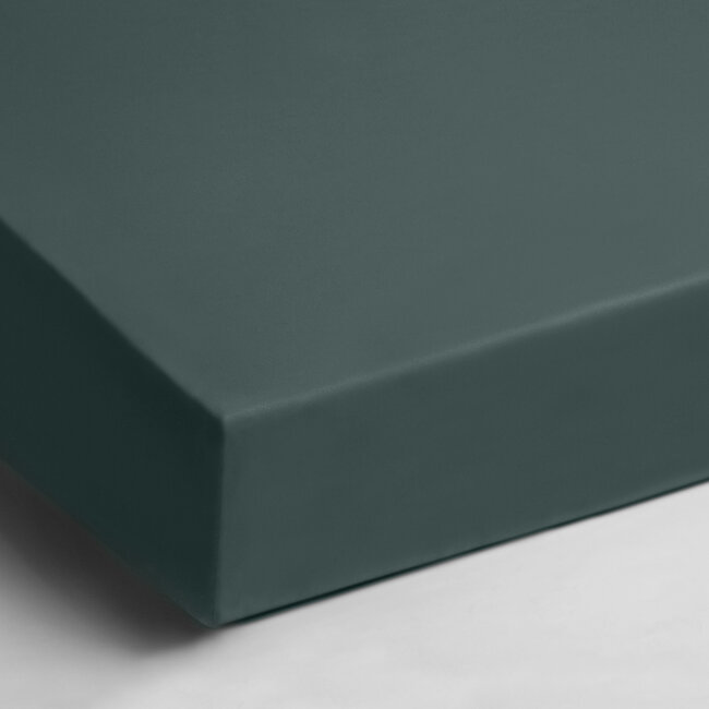 Hoeslaken - jersey - 190x220 cm