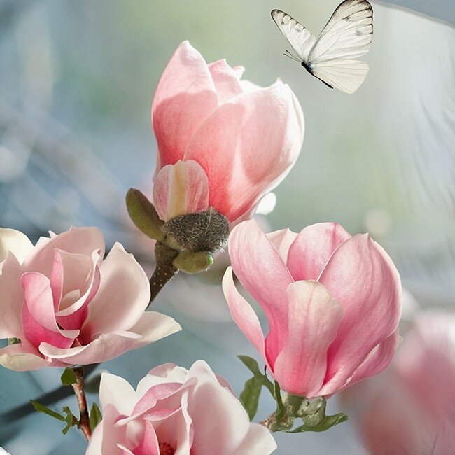 Katoen dekbedovertrek Close