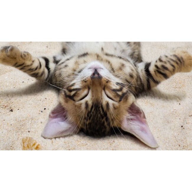 Strandlaken Beachcat - 75x150 cm