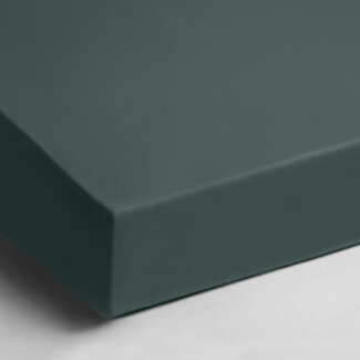 Day Dream  Hoeslaken - jersey - groen