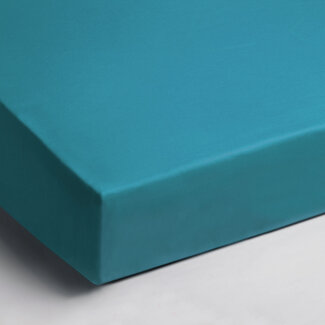 Day Dream  Hoeslaken - jersey - aqua blauw