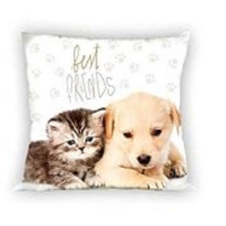 Sweet Home Sierkussenhoes Best Friends - 40 x 40 cm