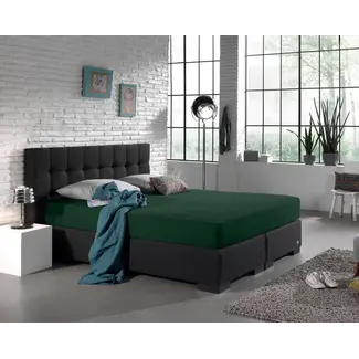 Beau Maison Hoeslaken - dubbel jersey - groen