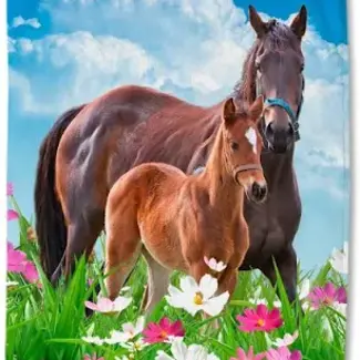 Good Morning Strandlaken Horses - 75x150 cm