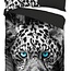 Dekbedovertrek Panther blue eyes - Microvezel