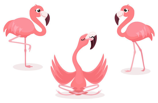 Flamingo dekbedovertrek