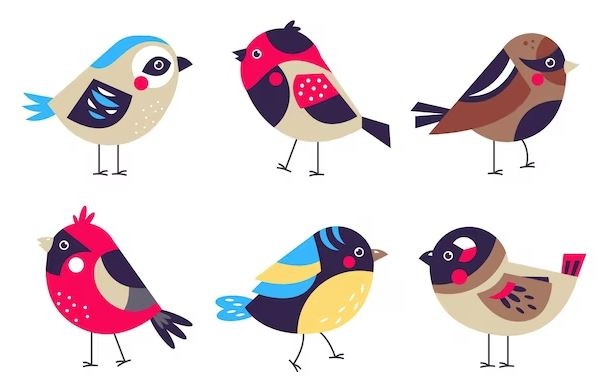 Dekbedovertrekken Vogels