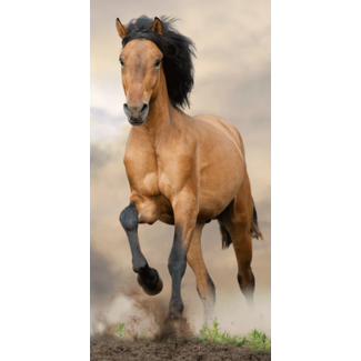 Sweet Home Strandlaken galopperend bruin paard - 70x140 cm