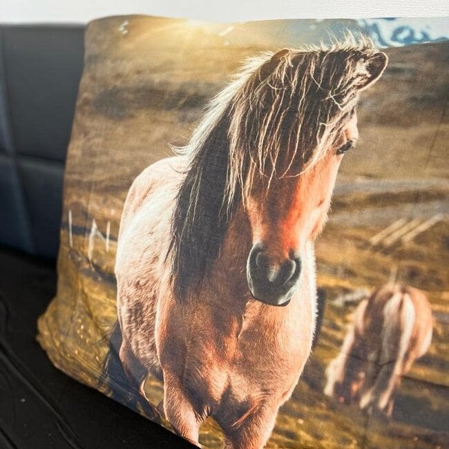 Katoen dekbedovertrek Newfoundland Pony