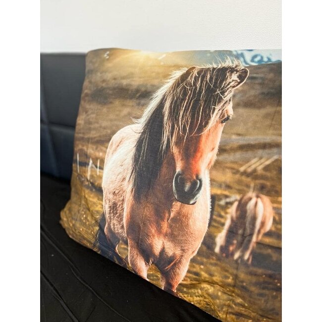 Katoen dekbedovertrek Newfoundland Pony