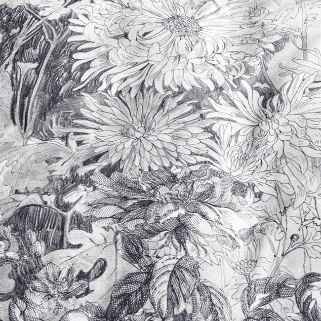 Katoen dekbedovertrek Energy zwart wit - (144TC)