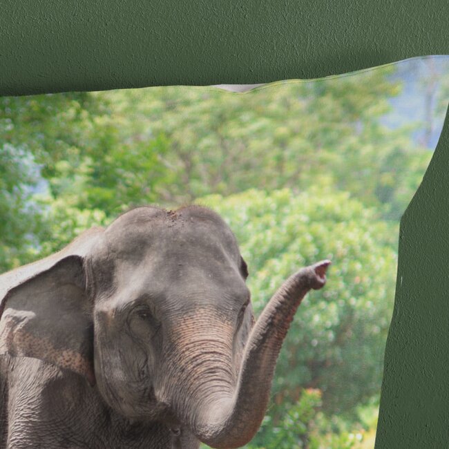 Katoen dekbedovertrek Olifanten - 140x220  + 60x70 cm