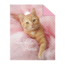 Bedsprei Poes - My little princess - roze - 170x210 cm