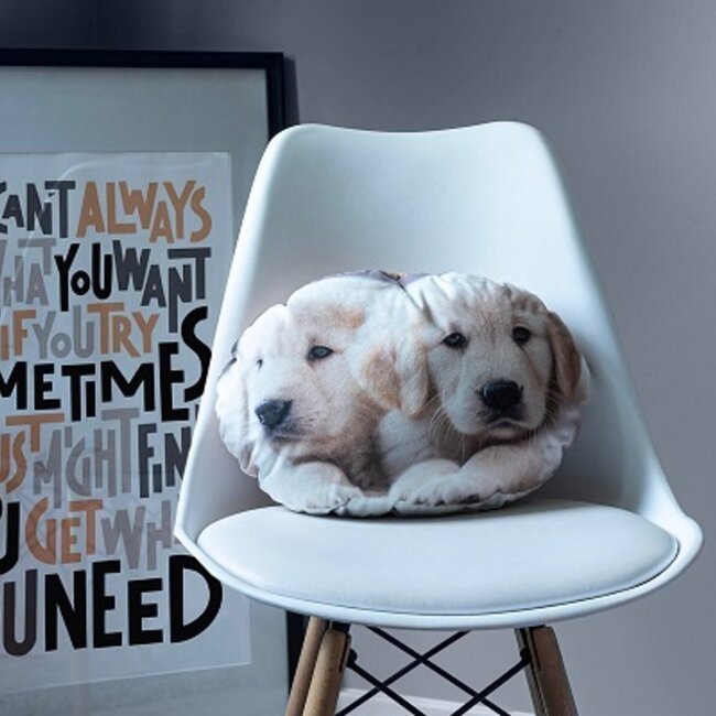 Sierkussen Labrador puppies