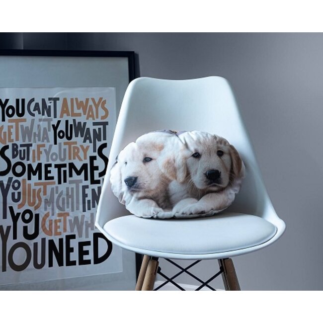 Sierkussen Labrador puppies