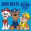 Paw Patrol Handdoek Born Brave - katoen - 30x30 cm
