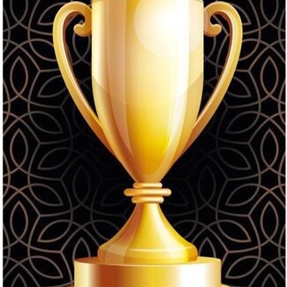 .Decoware® Strandlaken You are the Champion - 70x140 cm