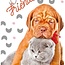 Animal Pictures Strandlaken Best Friends - 70x140 cm