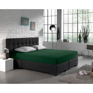 Dreamhouse Hoeslaken - enkel jersey 135gr - groen