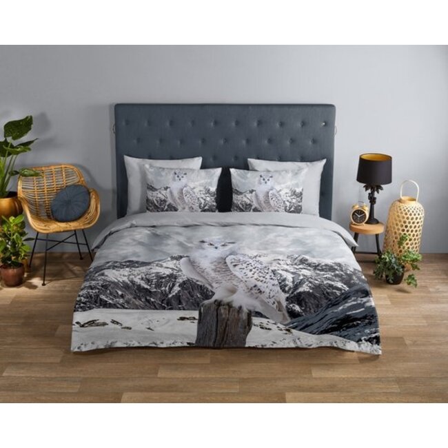 Katoen dekbedovertrek Sneeuwuil