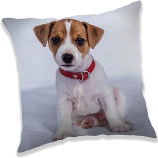 Sweet Home Jack Russell kussen 40x40 cm