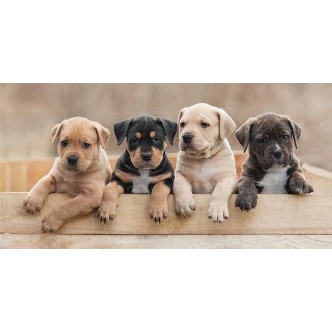 Handdoek puppies - katoen - 70x140 cm
