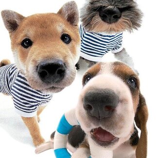 Disney & Licentie Strandlaken The Dog - katoen - 70x140 cm