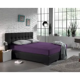 Dreamhouse Hoeslaken - enkel jersey 135gr - paars