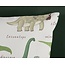 Kinderdekbedovertrek Beata Green - katoen - 140x220 + 60x70 cm