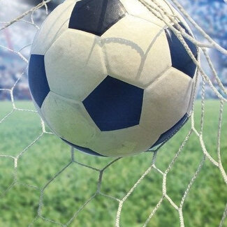 Good Morning Strandlaken Sander - handdoek 75x150 cm