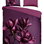 Microvezel dekbedovertrek Penelope - paars